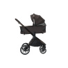 ADAMEX SPARK CHOCOLATE BROWN 13