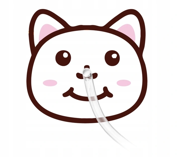 ASPIRATOR KATARU DINORINO