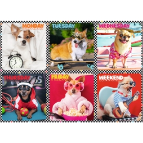 TREFL PUZZLE 200 EL PSY 13279