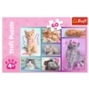 Puzzle - 