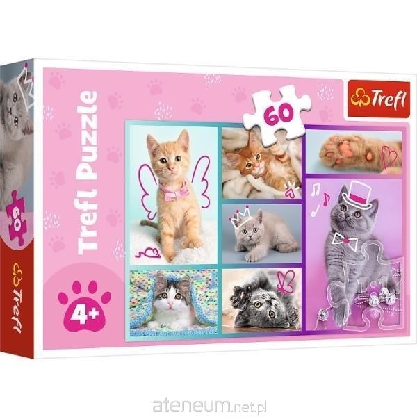 Puzzle - 