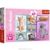 Puzzle - 