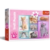 Puzzle - 