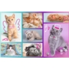 Puzzle - 