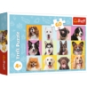 Puzzles - 