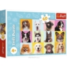 Puzzles - 