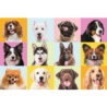 Puzzles - 