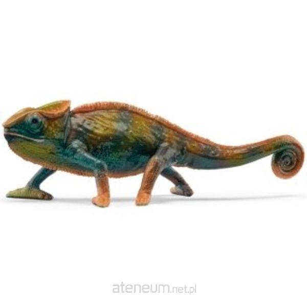 KAMELEON CZERWONY