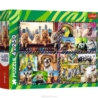 TREFL PUZZLE ZWIERZAKI 4X250