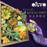 Zestaw kreatywny Wood&Craft DIY Sukulenty - Energi