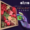 Zestaw kreatywny Wood&Craft DIY Sukulenty - Czułoś