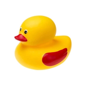 Kaczka do kąpieli /nie nabiera wody 511 75115