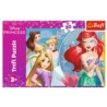 PUZZLE 30 Piękny dzień księżniczek/Disney 18308
