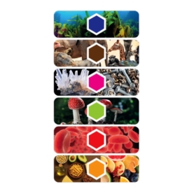 MIKROSKOP DIGITAL - 50406