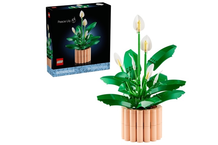 LEGO BOTANICALS 11504 SKRZYDŁOKWIAT