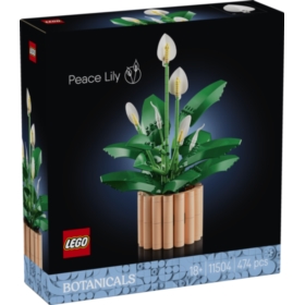 LEGO BOTANICALS 11504 SKRZYDŁOKWIAT