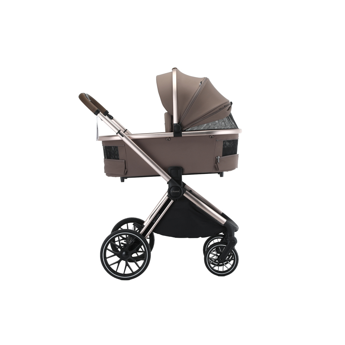 ADAMEX SPARK CHAMPAGNE FANGO 10