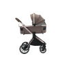 ADAMEX SPARK CHAMPAGNE FANGO 10