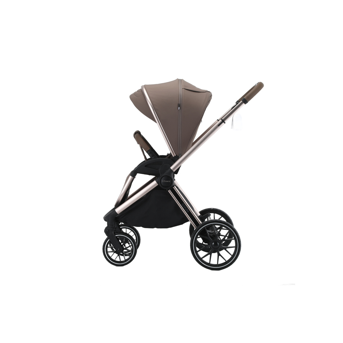 ADAMEX SPARK CHAMPAGNE FANGO 10