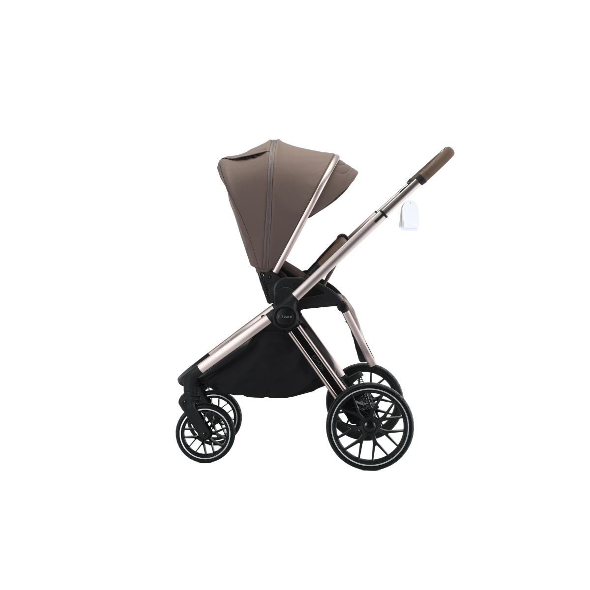 ADAMEX SPARK CHAMPAGNE FANGO 10
