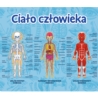 Gra Edukacyjna Ciało człowieka/ Mistrz Wiedzy Tref