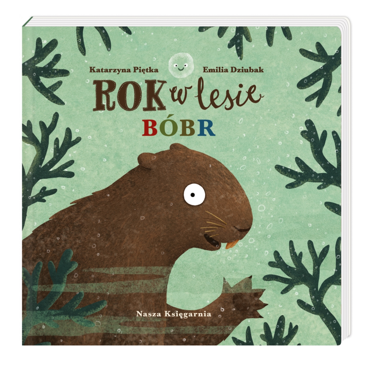 PUCIO ROK W LESIE BÓBR