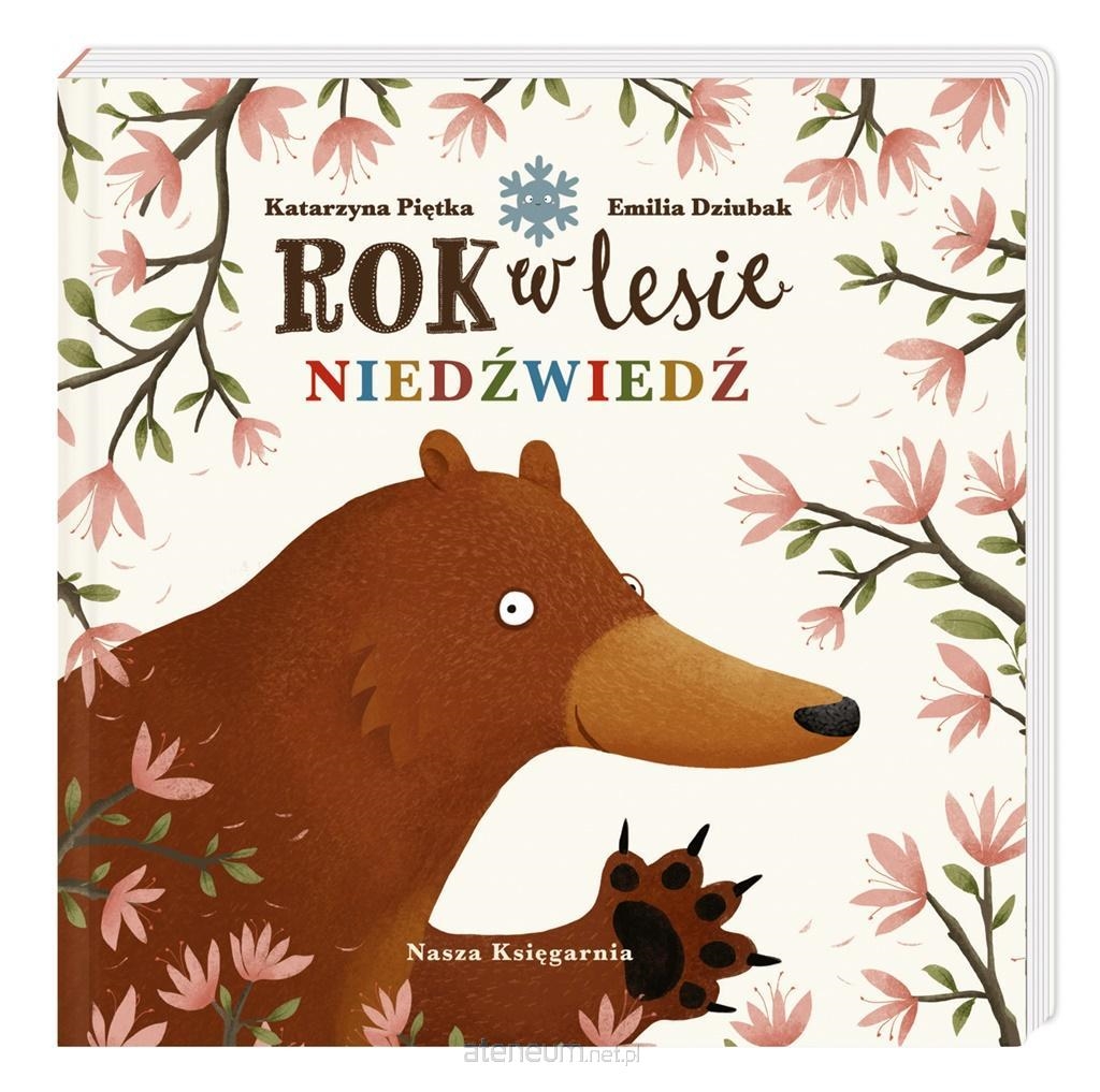 ROK W LESIE NIEDZWIEDŹ