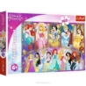 Puzzle - 160 - Portrety Księżniczek - Disney Princ