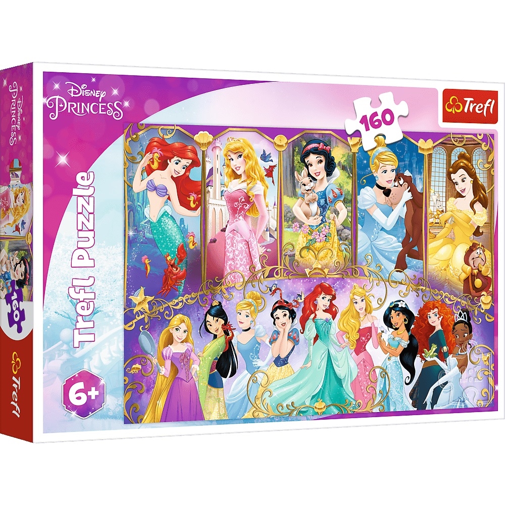 Puzzle - 160 - Portrety Księżniczek - Disney Princ