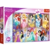 Puzzle - 160 - Portrety Księżniczek - Disney Princ