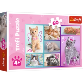 Puzzle - 
