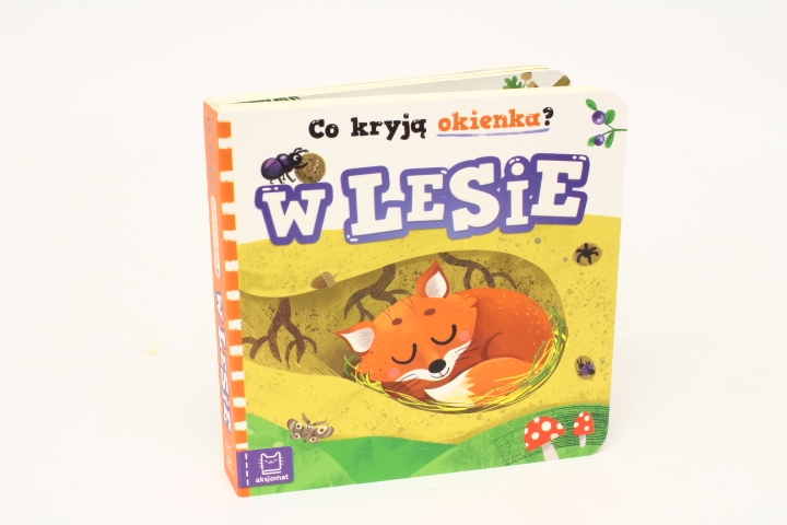 CO KRYJA OKIENKA. W LESIE