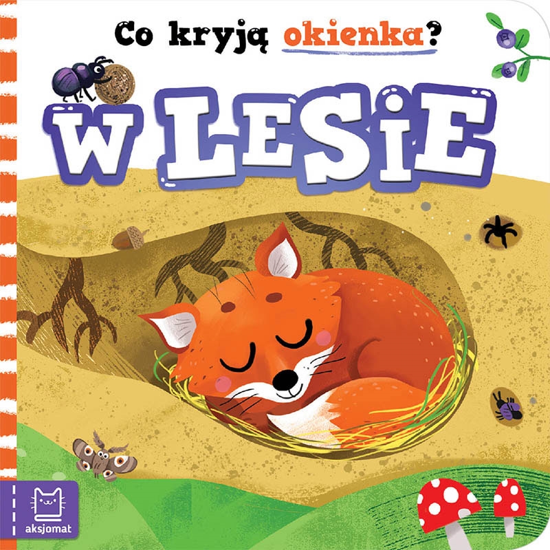 CO KRYJA OKIENKA. W LESIE