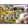 TREFL PUZZLE ZWIERZAKI 4X250