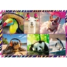 TREFL PUZZLE ZWIERZAKI 4X250