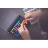 SMART GAMES IQ FIT