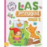 Las przygód cz.2 58.11.13.0 61490