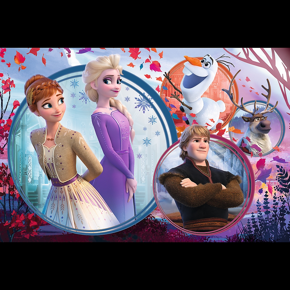PUZZLE 160  DISNEY FROZEN