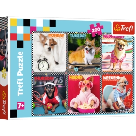 TREFL PUZZLE 200 EL PSY 13279