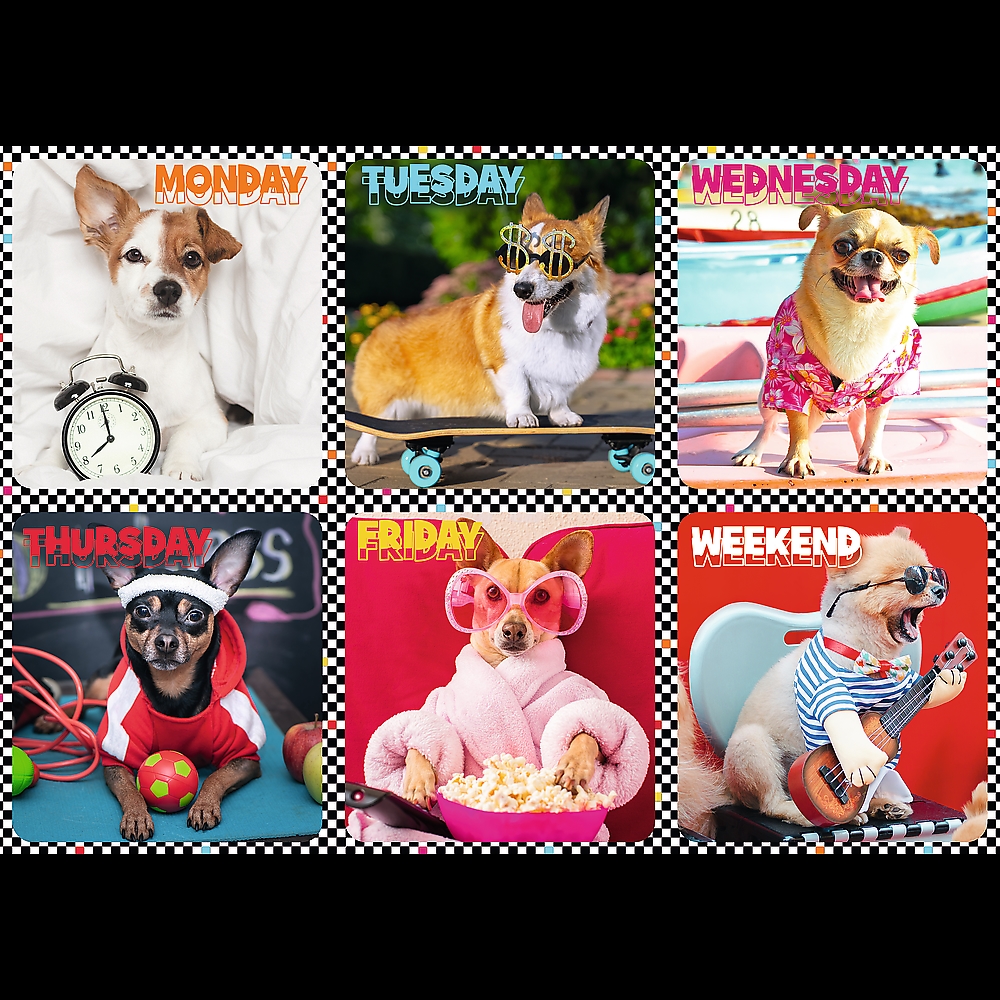 TREFL PUZZLE 200 EL PSY 13279