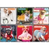TREFL PUZZLE 200 EL PSY 13279