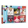 TREFL PUZZLE 200 EL PSY 13279
