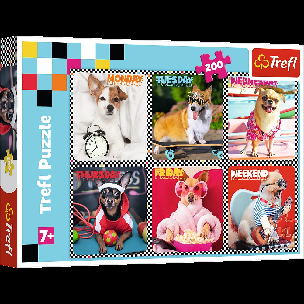 TREFL PUZZLE 200 EL PSY 13279