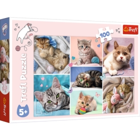 PUZZLE 100 - W KOCIM ŚWIECIE