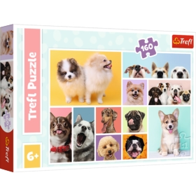 TREFL PUZZLE 160 PSIA PRZYJAŹŃ
