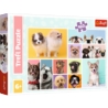 TREFL PUZZLE 160 PSIA PRZYJAŹŃ