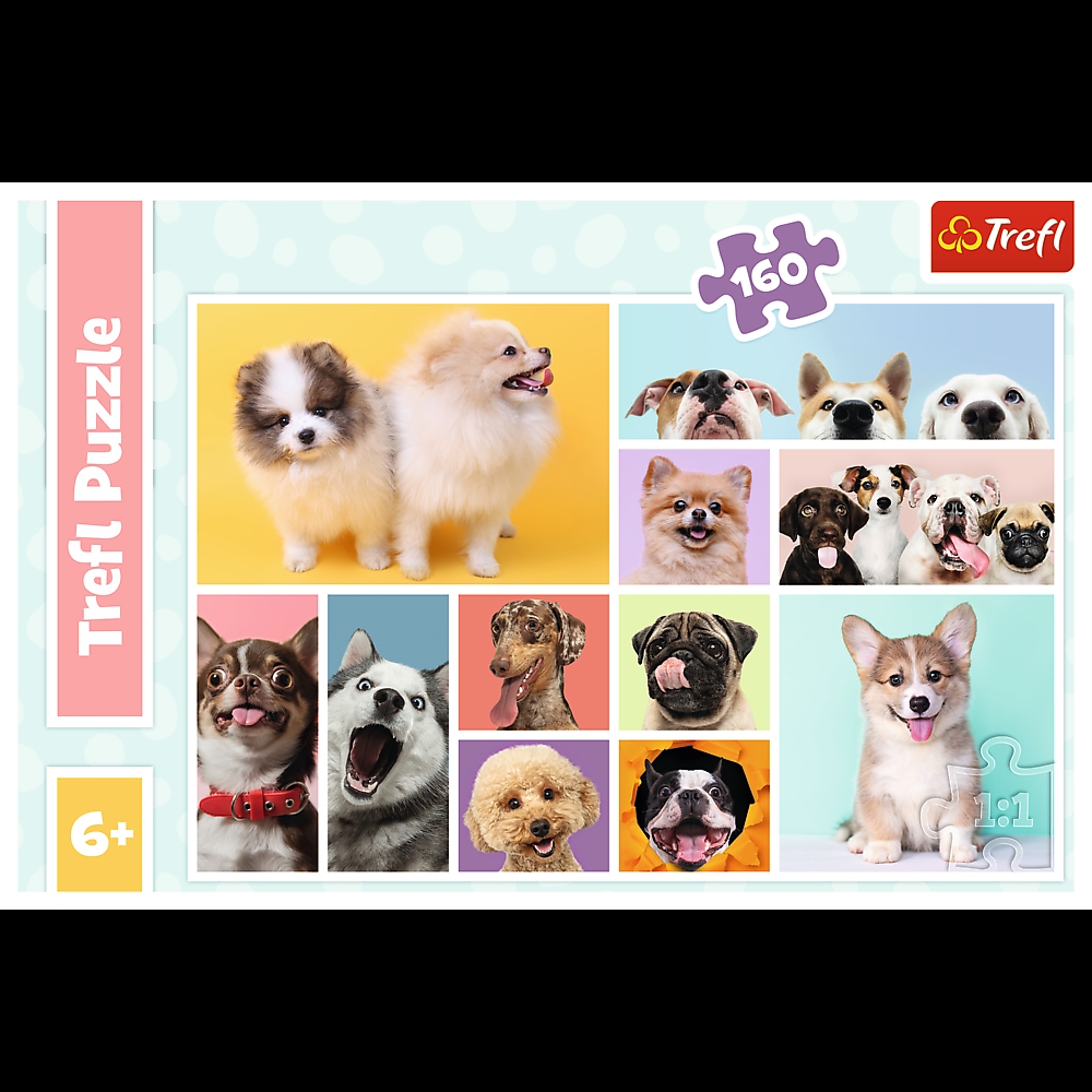 TREFL PUZZLE 160 PSIA PRZYJAŹŃ