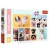 TREFL PUZZLE 160 PSIA PRZYJAŹŃ