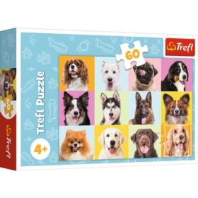 Puzzles - 