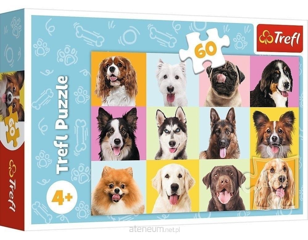 Puzzles - 